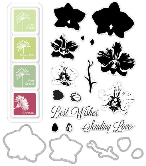 Hero Arts Hero Arts Color Layering Large Orchid Dies, Stamps & Ink Pads Bundle SB102