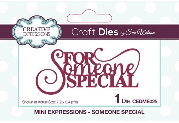 Creative Expressions Sue Wilson Mini Expressions Someone Special Die CEDME025