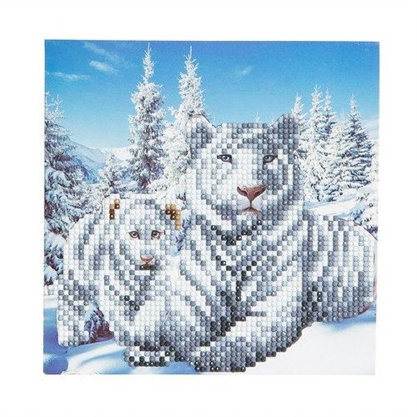 Craft Buddy Crystal Card Kit - Snowy White Tigers CCK-A8