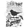 Woodware Woodware Clear Singles Stamp - Bird on a Branch