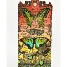Carabelle Carabelle Studio Cling Stamp A6 : Butterflies by Sultane