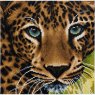 Craft Buddy Craft Buddy 'Leopard ' Framed Crystal Art Kit 30 x 30cm (Medium)