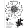 Julie Hickey Julie Hickey Designs Sunflower Bee Stamp Set