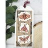 Woodware Woodware Clear Stamp - Moths 4 in x 6 in Clear Stamp