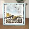 Woodware Woodware Lino Cut - Oyster Catchers 4 in x 6 in Clear Stamp