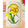 Crafter's Companion Gemini - Stamp & Die - March - Daffodil