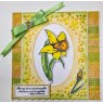 Crafter's Companion Gemini - Stamp & Die - March - Daffodil