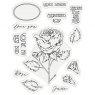 Crafter's Companion Gemini - Stamp & Die - June - Rose