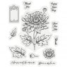 Crafter's Companion Gemini - Stamp & Die - November - Chrysanthemum