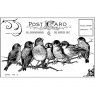 Crafty Individuals Crafty Individuals 'Seven Cheeky Songbirds' Red Rubber Stamp CI-230