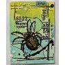 Aall & Create Aall & Create A7 Stamp #551 - Weaver Spider
