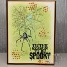Woodware Woodware Clear Singles Creepy Spider 4 in x 6 in Stamp