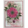 Woodware Woodware Clear Singles Ditsy Daisy 4 in x 6 in Stamp