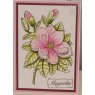 Woodware Woodware Clear Singles Magnolia 4 in x 6 in Stamp