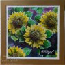 Woodware Woodware Clear Singles Sunflower Rays 4 in x 6 in Stamp