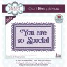 Creative Expressions Creative Expressions Sue Wilson Block Sentiments You Are So Special Craft Die