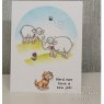 Creative Expressions Creative Expressions Designer Boutique Just For Ewe 6 in x 4 in Clear Stamp Set
