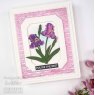 Creative Expressions Creative Expressions Sue Wilson Layered Flowers Collection Iris Craft Die