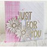 Julie Hickey Julie Hickey Just For You & More Stamp Set JHE1034