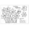 Julie Hickey Julie Hickey Designs Peter's Daffodils A6 Stamp Set DS-PT-1038