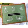 Woodware Woodware Clear Singles Bug Doodles 4 in x 6 in Stamp Set