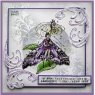 Creative Expressions Katkin Krafts Sphinx 6 in x 8 in Clear Stamp Set