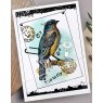 Woodware Woodware Clear Singles Bluebird 3 in x 4 in Stamp