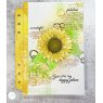 Julie Hickey Julie Hickey Designs Peter's Sunflowers A6 Stamp DS-PT-1059
