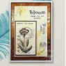 Creative Expressions Creative Expressions Sam Poole Bloom 4 in x 6 in Clear Stamp Set
