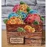 Woodware Woodware Clear Singles Geraniums 4 in x 6 in Stamp Set