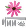 Spellbinders Spellbinders Create a Flower Echinacea Die D-Lites